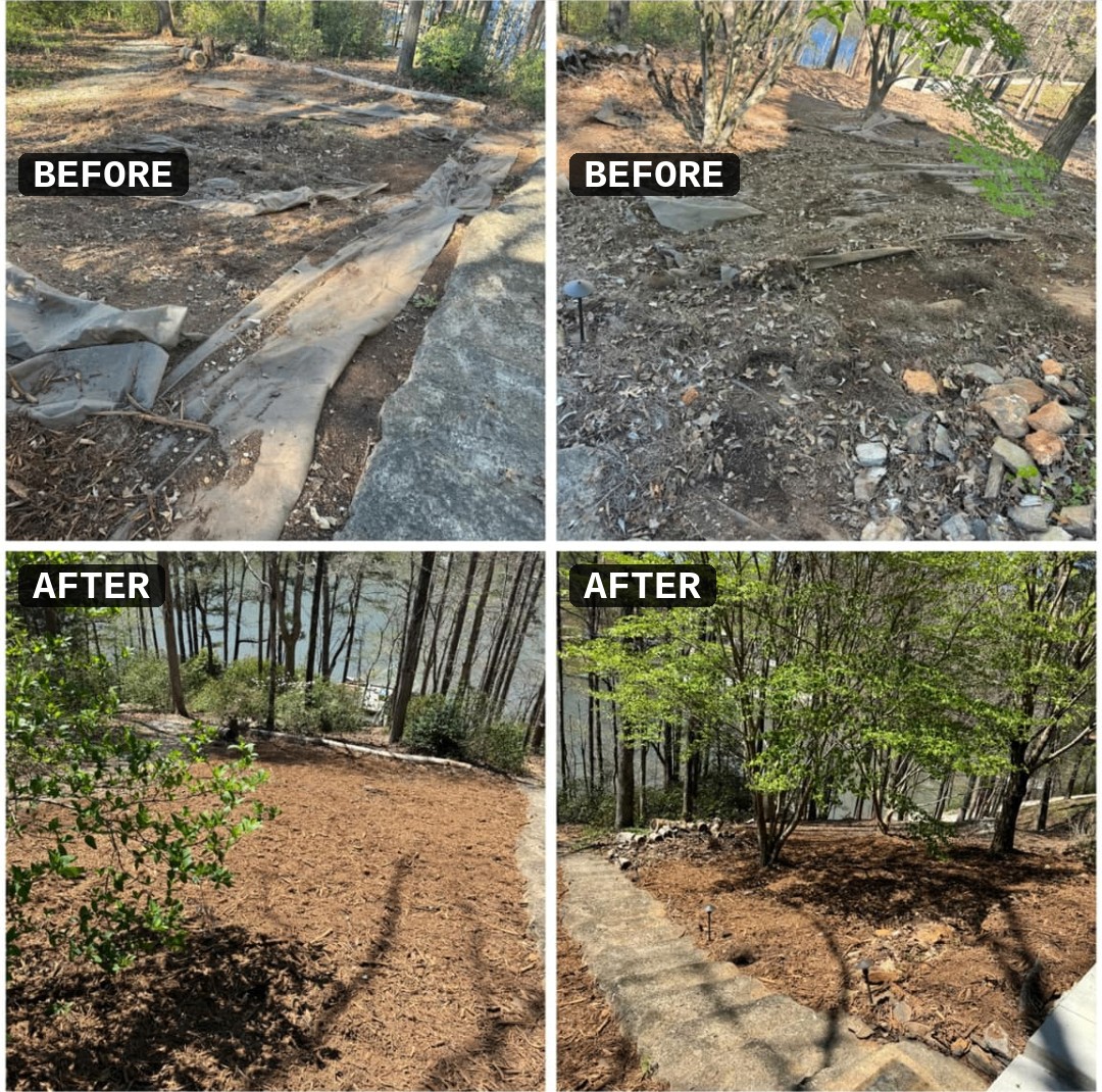Cleanup and Mulch Refresh – Seneca, SC